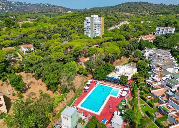 An With An Ocean View